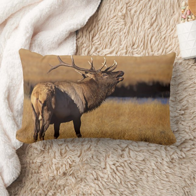 Roosevelt Eull Elk Wyoming Lumbar Cushion (Blanket)