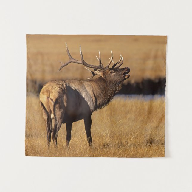 Roosevelt Eull Elk Wyoming Tapestry (Front (Horizontal))