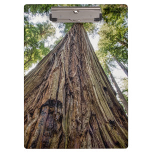 Roosevelt Grove Clipboard