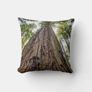 Roosevelt Grove Cushion