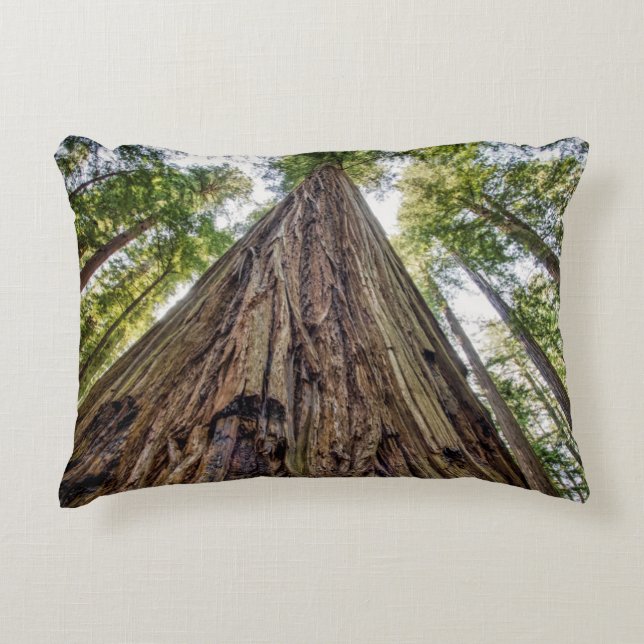 Roosevelt Grove Decorative Cushion (Front)