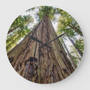 Roosevelt Grove Large Clock