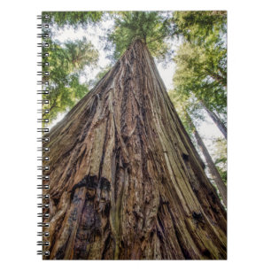 Roosevelt Grove Notebook