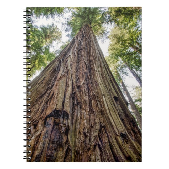 Roosevelt Grove Notebook (Front)