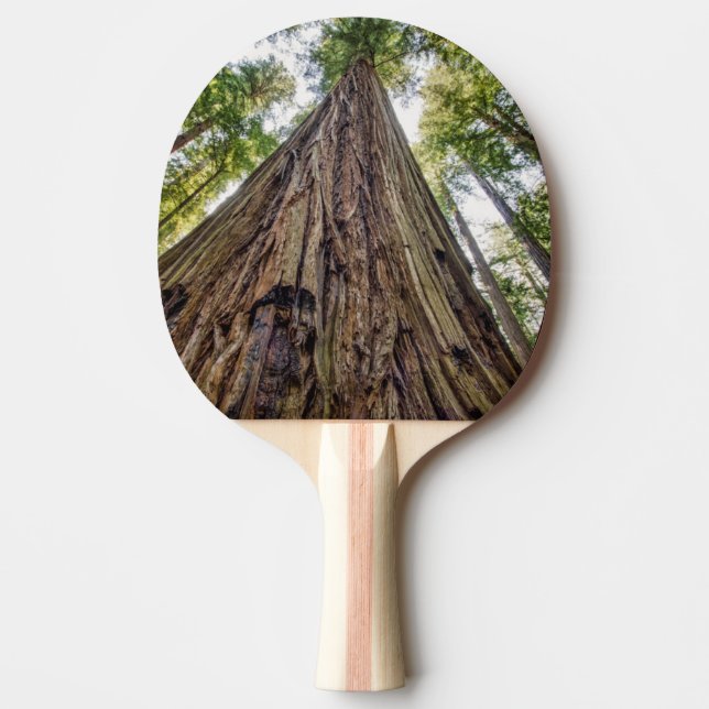 Roosevelt Grove Ping Pong Paddle (Front)