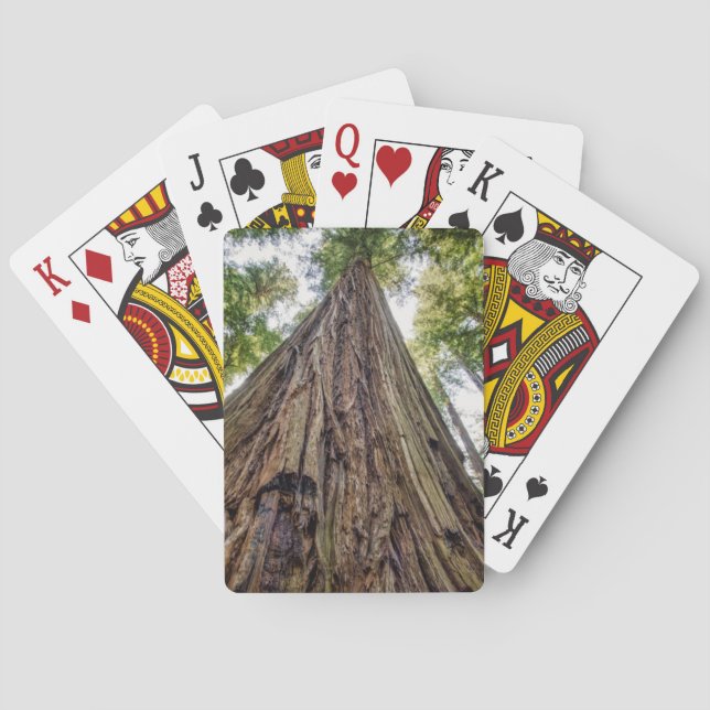 Roosevelt Grove Playing Cards (Back)