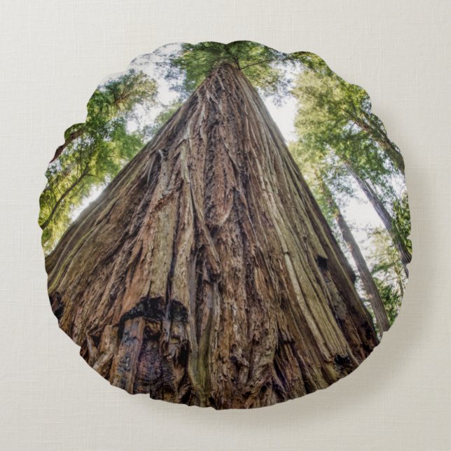 Roosevelt Grove Round Cushion (Front)