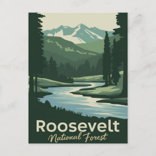 Roosevelt National Forest Minimal Travel Art Holiday Postcard