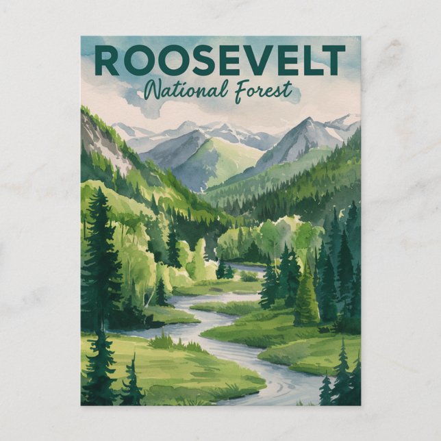 Roosevelt National Forest Watercolor Travel Holiday Postcard (Front)