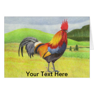 Rooster