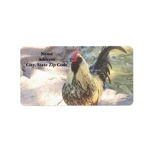 Rooster Address Labels (Front)