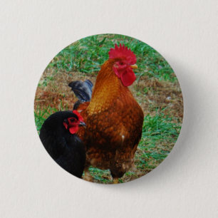 Rooster and Black Hen 6 Cm Round Badge