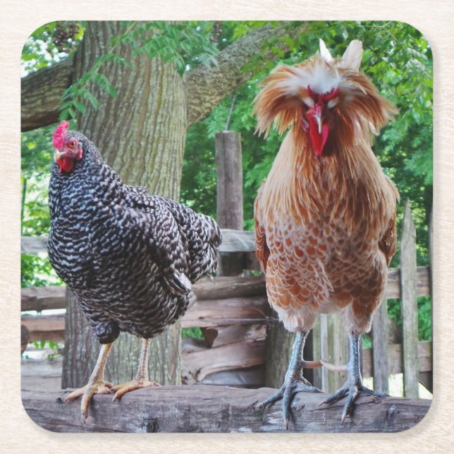 Rooster and Hen Coasters (Front)