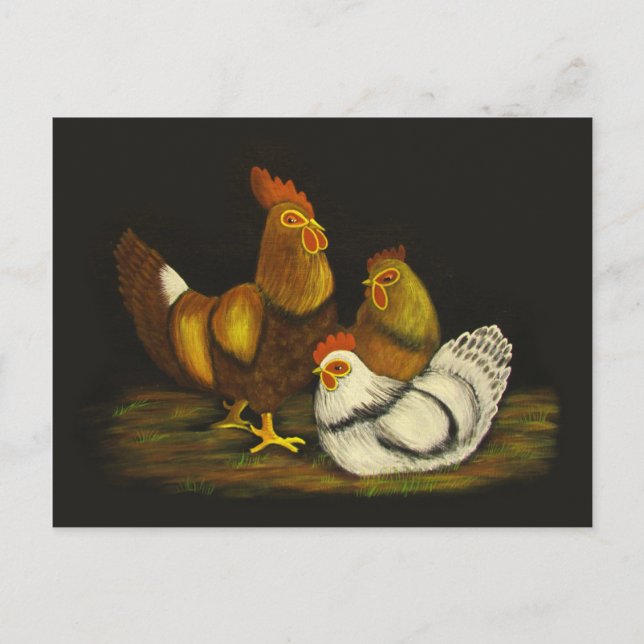 Rooster and Hens ~ postcard (Front)