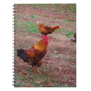 Rooster and his hens notebook