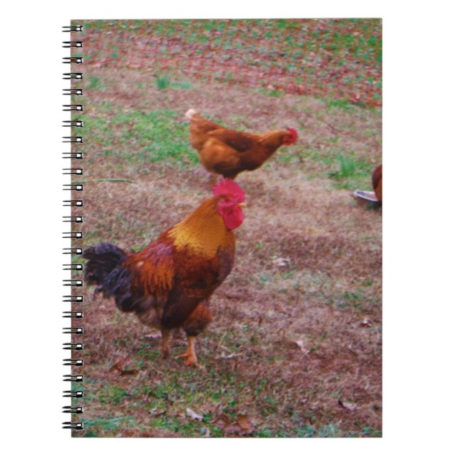 Rooster and his hens notebook (Front)