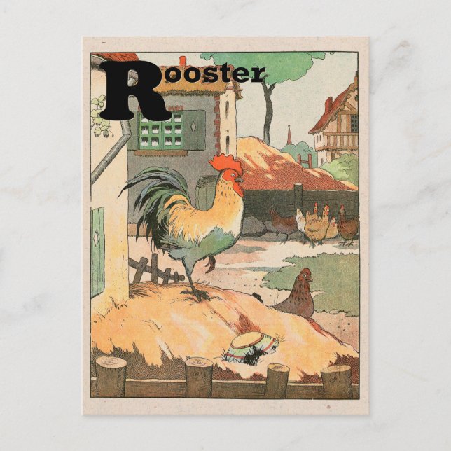 Rooster Animal Alphabet Letter Postcard (Front)