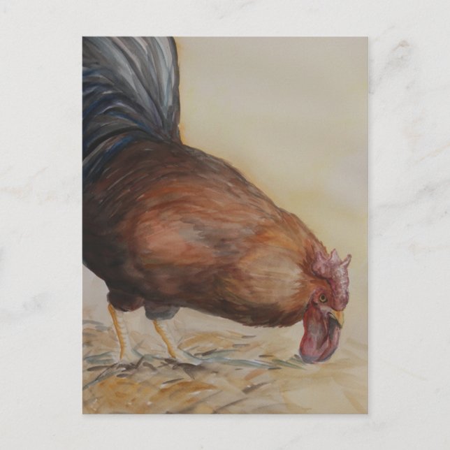 Rooster Art Postcard (Front)