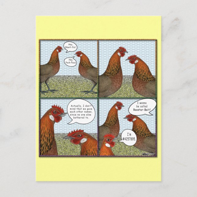 Rooster Bait Postcard (Front)