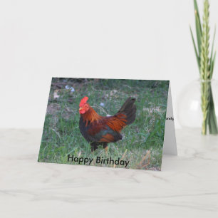 Rooster Birthday Card