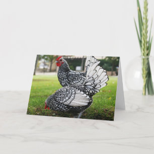 Rooster Blank Note Card