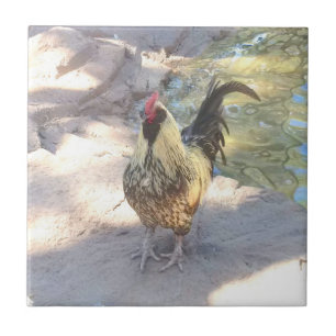 Rooster Ceramic Tile