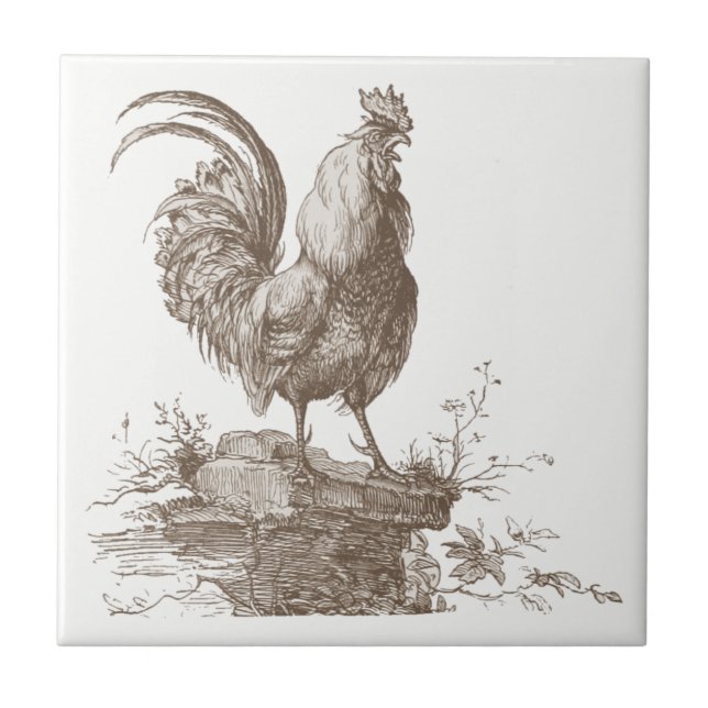 Rooster charming sepia tone illustration tile (Front)