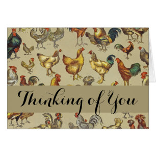 Rooster Chicken Farm Animal Poultry Country