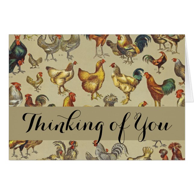 Rooster Chicken Farm Country Animal (Front Horizontal)