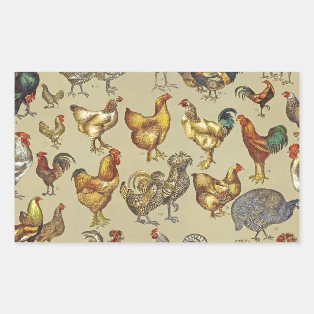 Rooster Chicken Farm Country Animal Rectangular Sticker (Front)