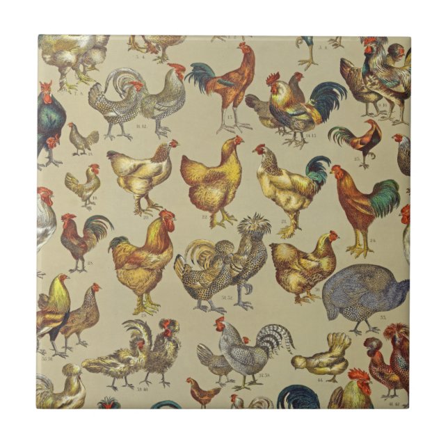 Rooster Chicken Farm Country Animal Tile (Front)