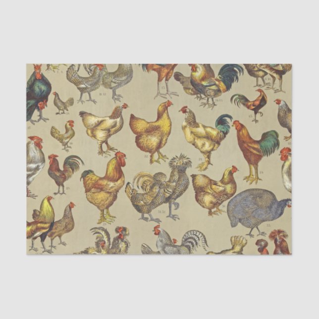Rooster Chicken Farm Country Animal Tissue Paper (Front)