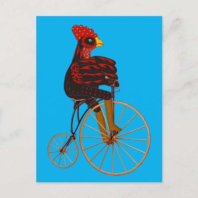 Rooster Chicken Riding A Vintage Bicycle  Postcard (Front)