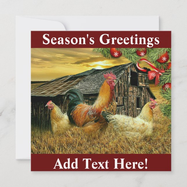 Rooster Chickens Chicken Coop Christmas Thank You Card (Front)