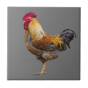 Rooster Choose Color Kitchen Tile
