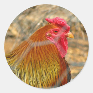 Rooster Classic Round Sticker