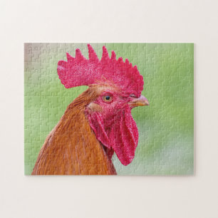 Rooster close-Up Jigsaw Puzzle