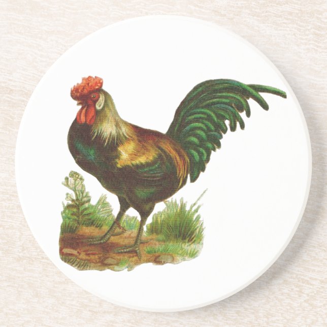 Rooster Coaster (Front)