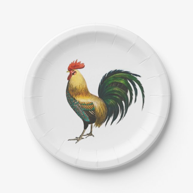 Rooster country classic stylish traditional bird   paper plate (Front)