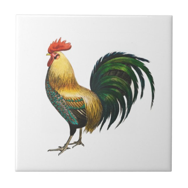 Rooster country classic stylish traditional bird   tile (Front)