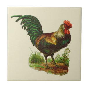 Rooster Country Kitchen Tile