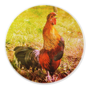 Rooster Crowing Farm Animal Abstract Ceramic Knob