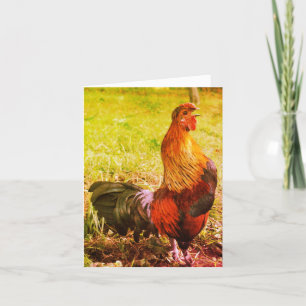 Rooster Crowing Farm Animal Art Note Card