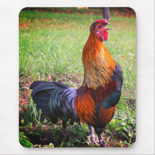 Rooster Crowing Nature Mouse Mat