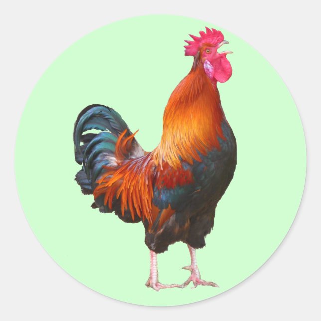 Rooster Crowing Stickers (Front)