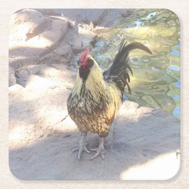 Rooster Drink Coasters (Front)