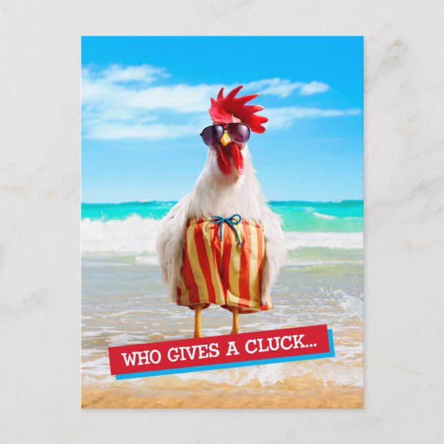 Rooster Dude Chillin' at Beach in Swim Trunks Postcard (Front)