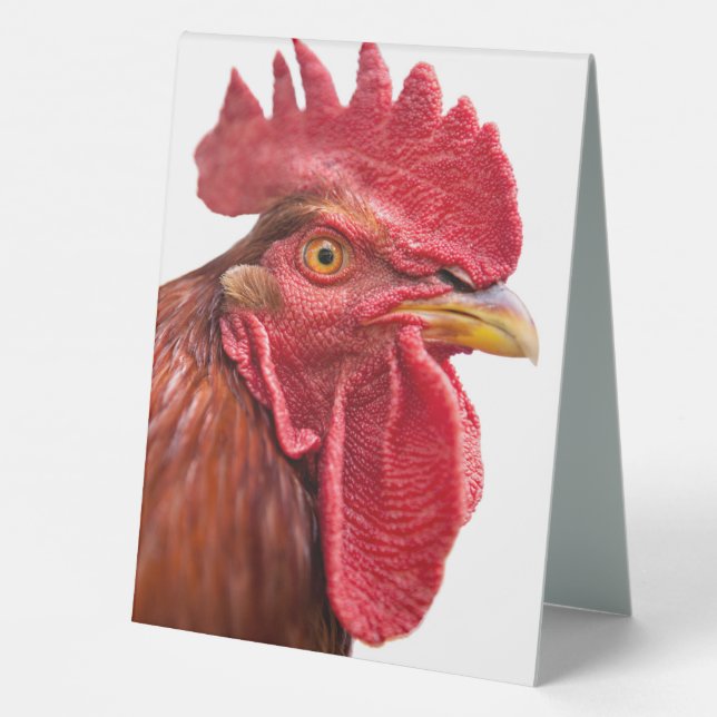 Rooster Face (Back)