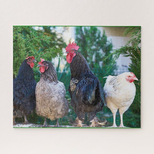 Rooster Family Jigsaw Puzzle (Horizontal)