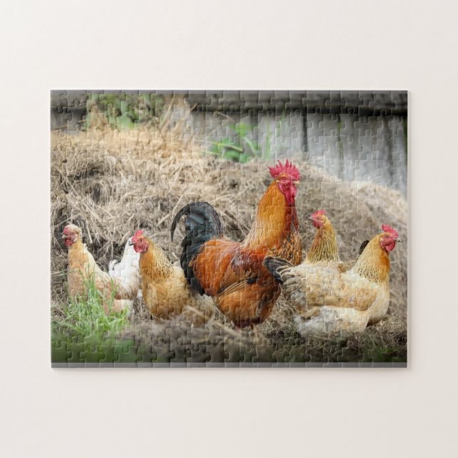 Rooster Family Jigsaw Puzzle (Horizontal)